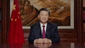 نقش طلایی بریکس در تحولات جهانی از دیدگاه رهبر چین
